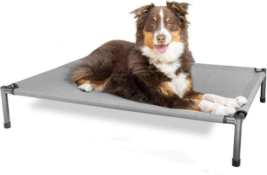 Raised Rest Deluxe elevated dog bed in grey breathable fabric with powder-coated metal frame and a dog lying comfortably