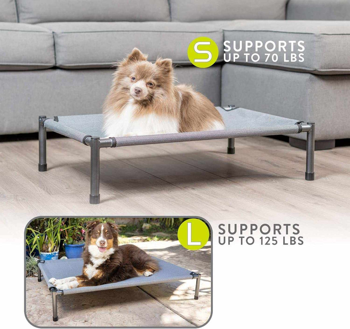 Raised Rest Deluxe elevated dog bed in grey with durable metal frame and breathable fabric support, suitable for small to medium dogs