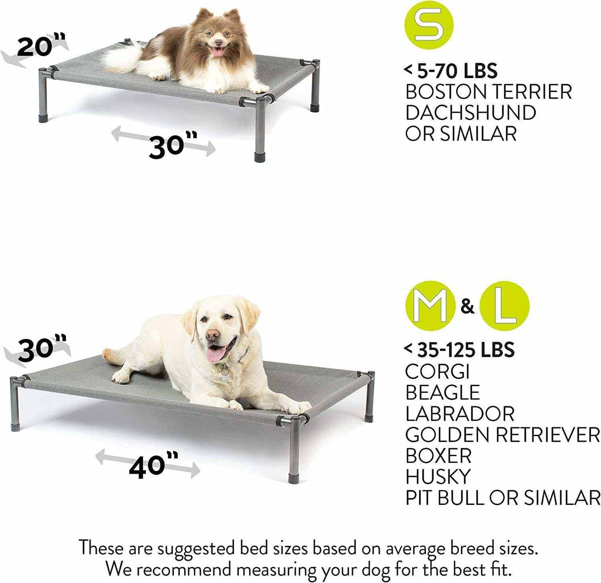 Raised Rest Deluxe elevated dog beds in grey with powder-coated metal frames and breathable fabric, shown with small and medium dog sizes